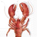 Lunchservietten Lobster