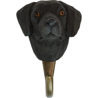 Hook Labrador Retriever