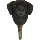 Hook Labrador Retriever